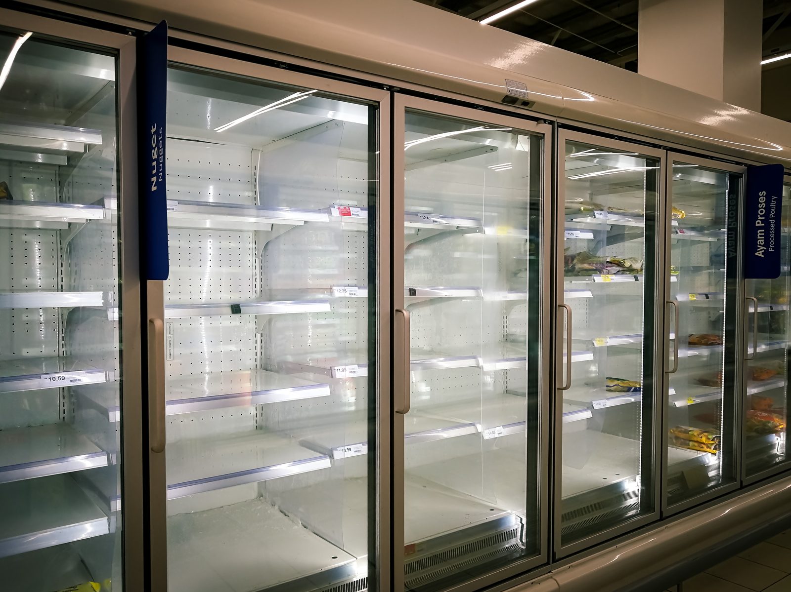 Empty refrigerated cabinet standing ready to be restocked